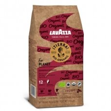 Kavos pupelės Lavazza "Tierra Expert Bio Organic" 1kg