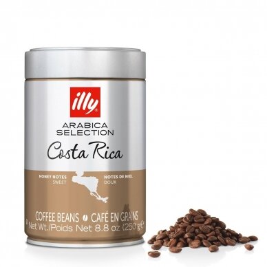 Kavos pupelės ILLY Costa Rica, 250 g 1