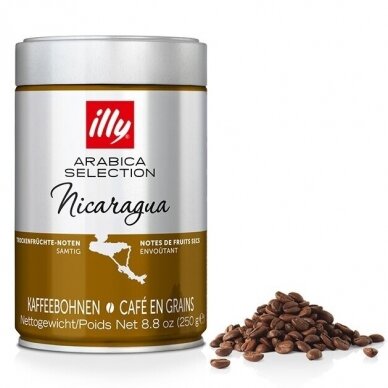 Kavos pupelės ILLY Nicaragua, 250 g 1